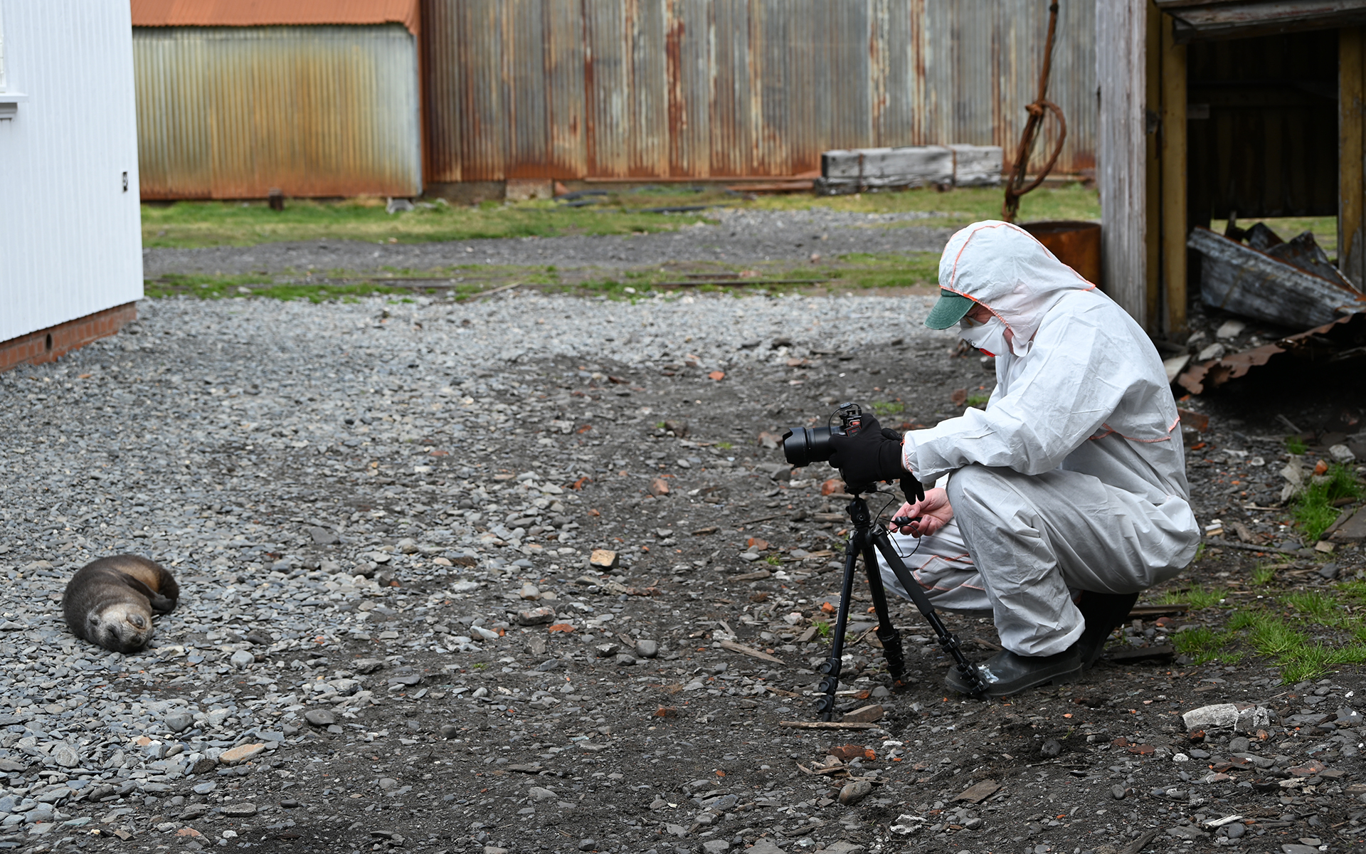 Capture_0008_DSC_7494