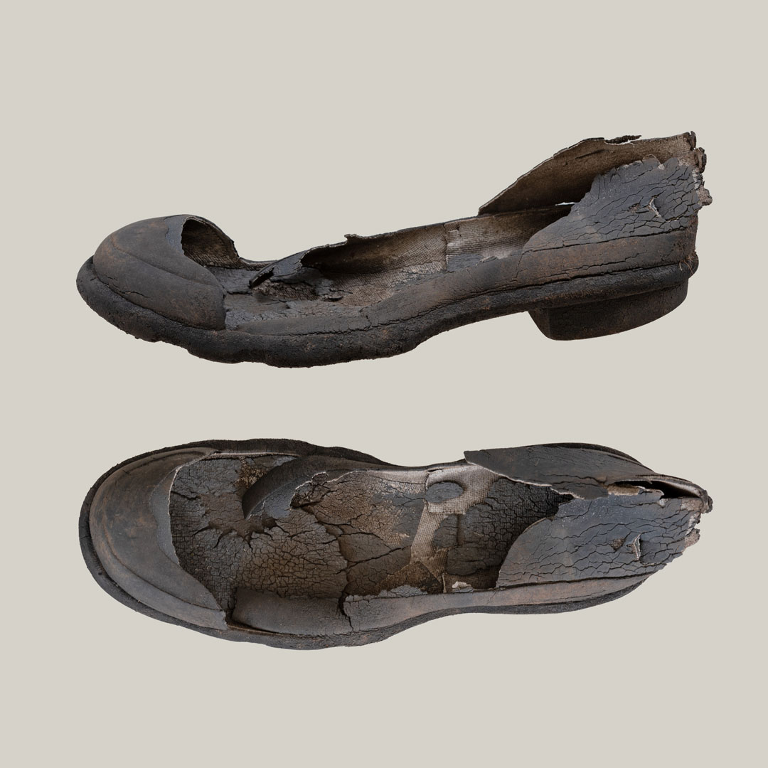 Shoe-2-views-DSC_2171-WEB
